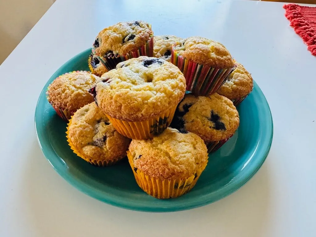 Blueberry Muffin Top — 7 Originals